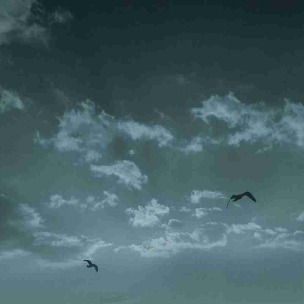 یه روز خوب میاد یه روز خوب کیه ما که نصف عمرمون رفت