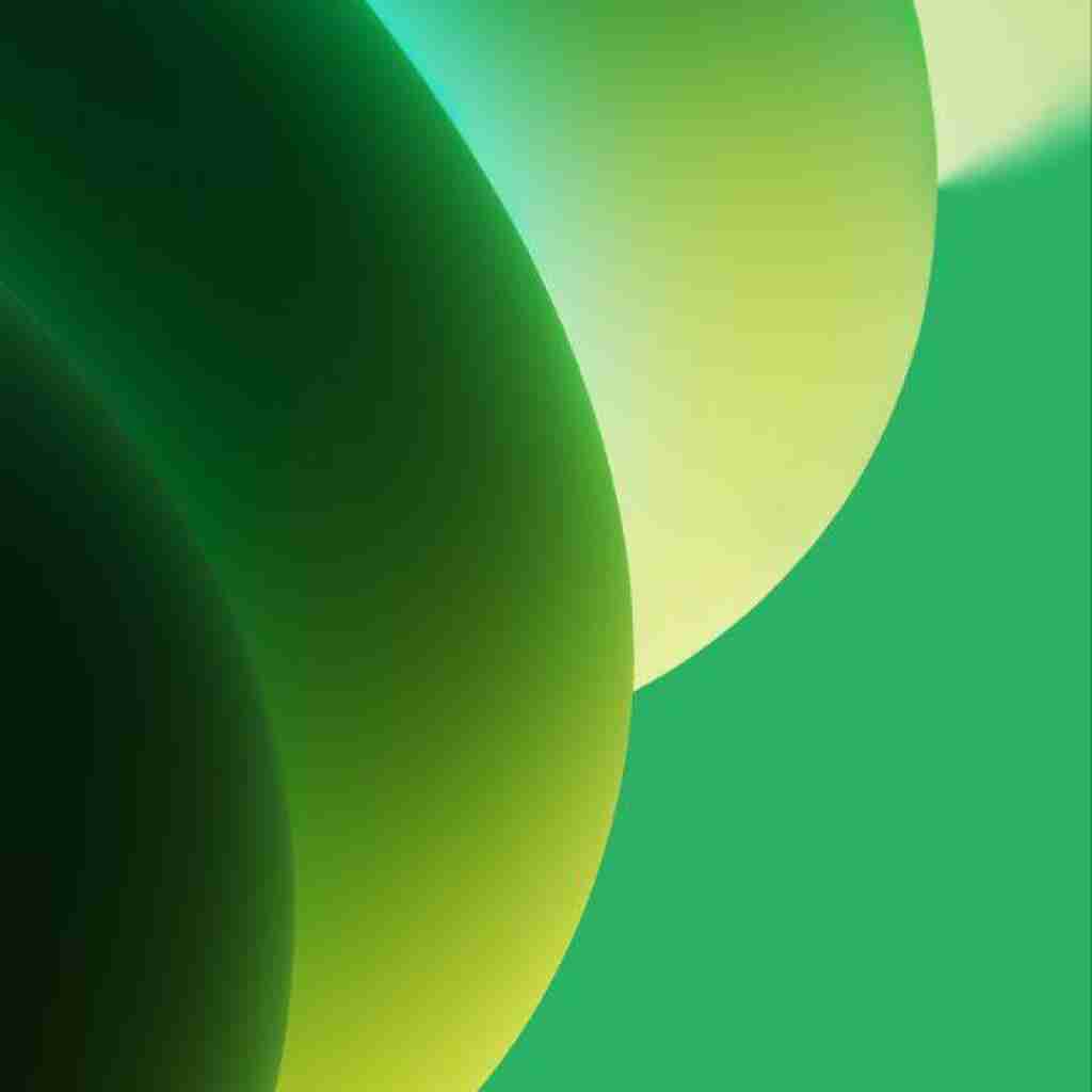 فاطمه رحمانی جانا