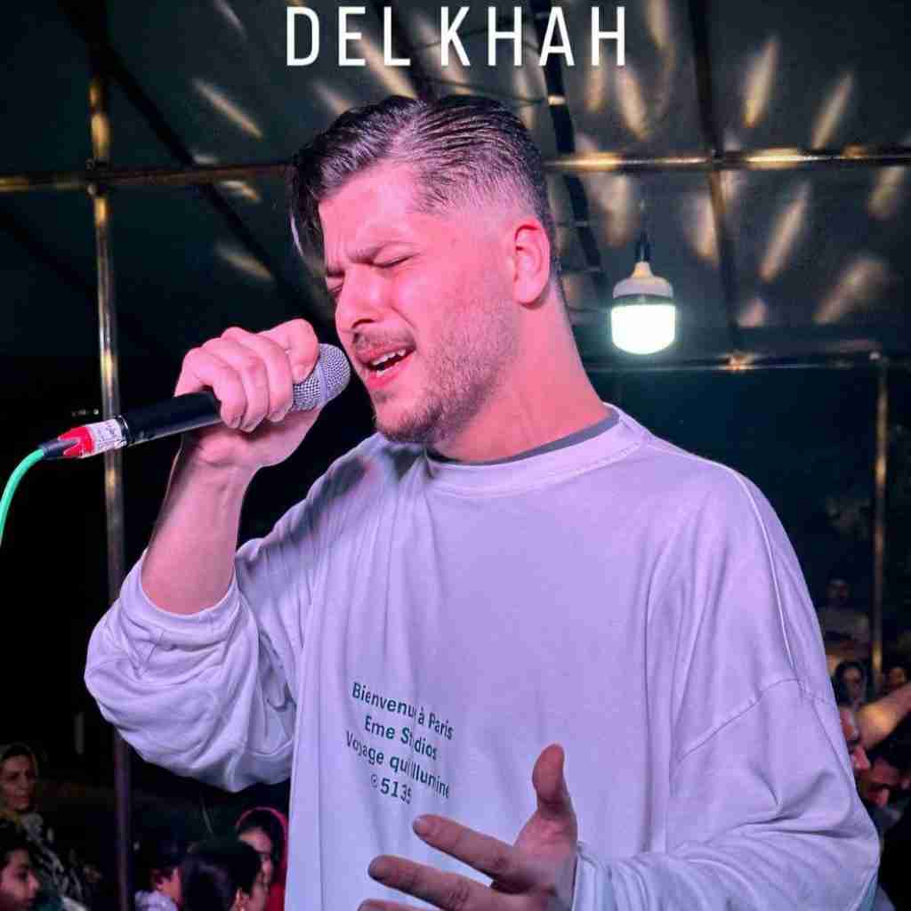 دانلود آهنگ دلخواه از امیر چیتگر