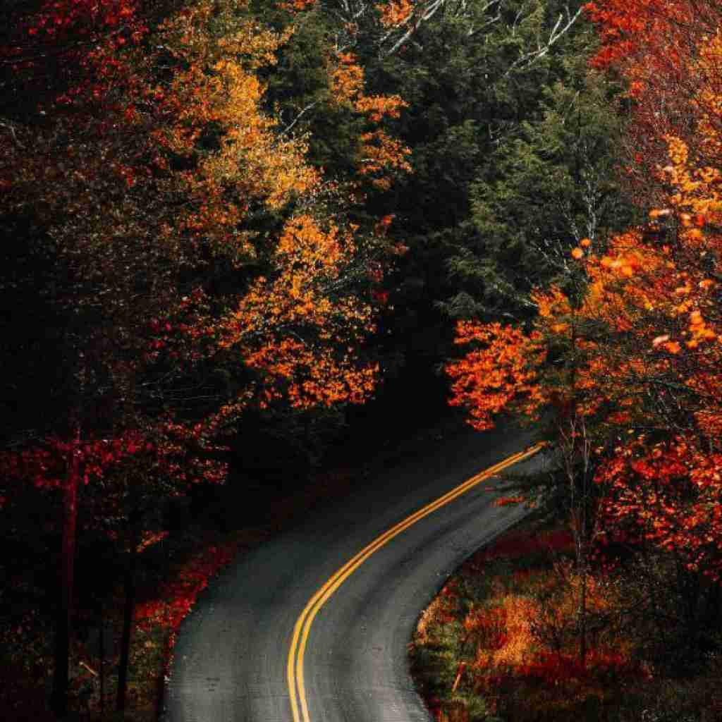 آسمون دارک دستامون سرد ناخونات رو تنم