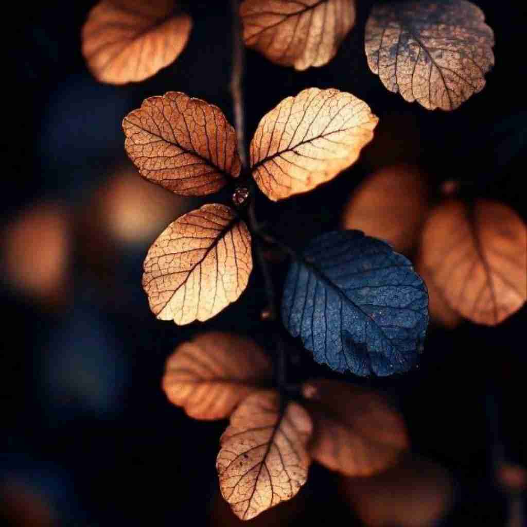 تنظیمات همه دنده ی چپ منو ببخش (ترند اینستایی)