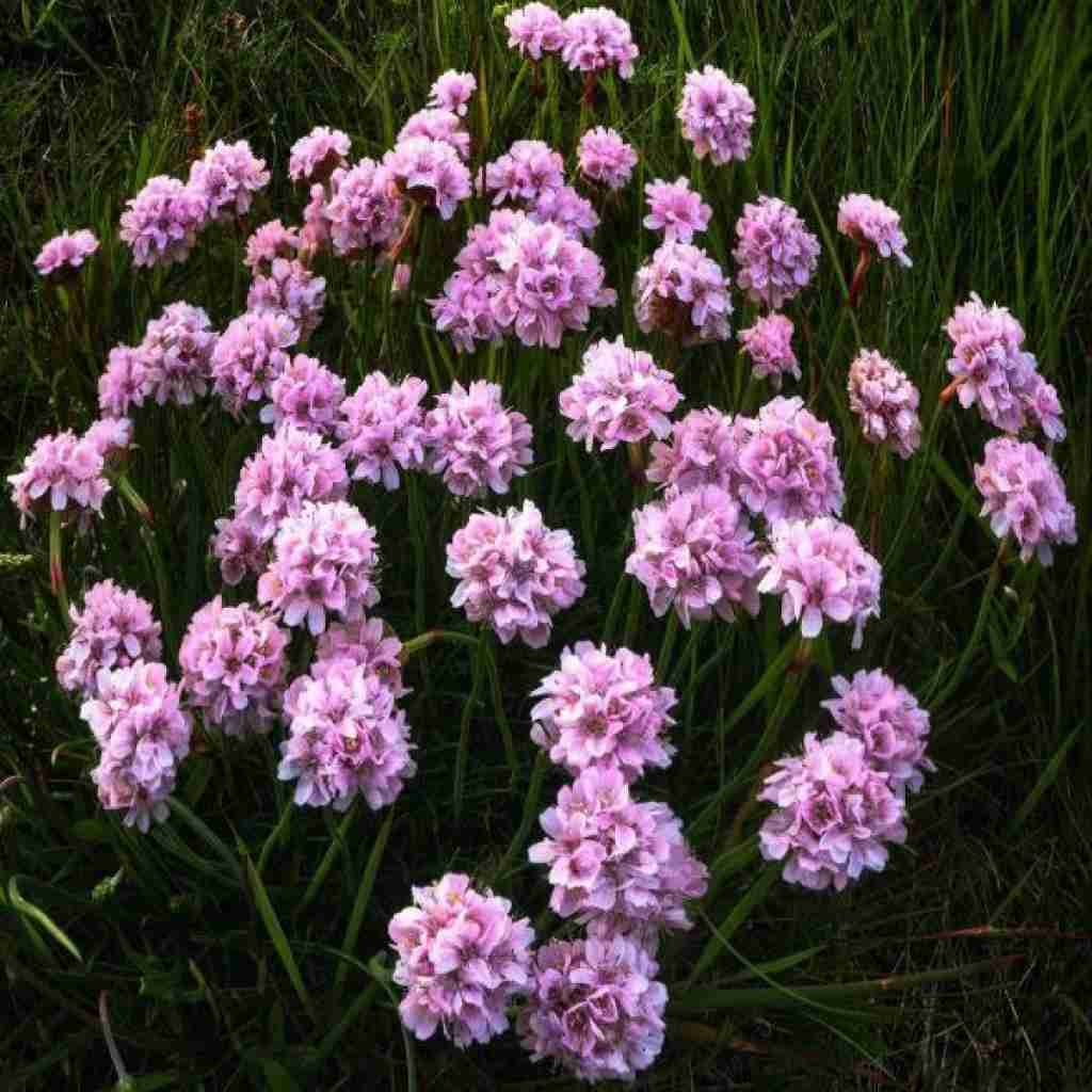 فکر میکردم عشق عجب چرندیه راست میگن