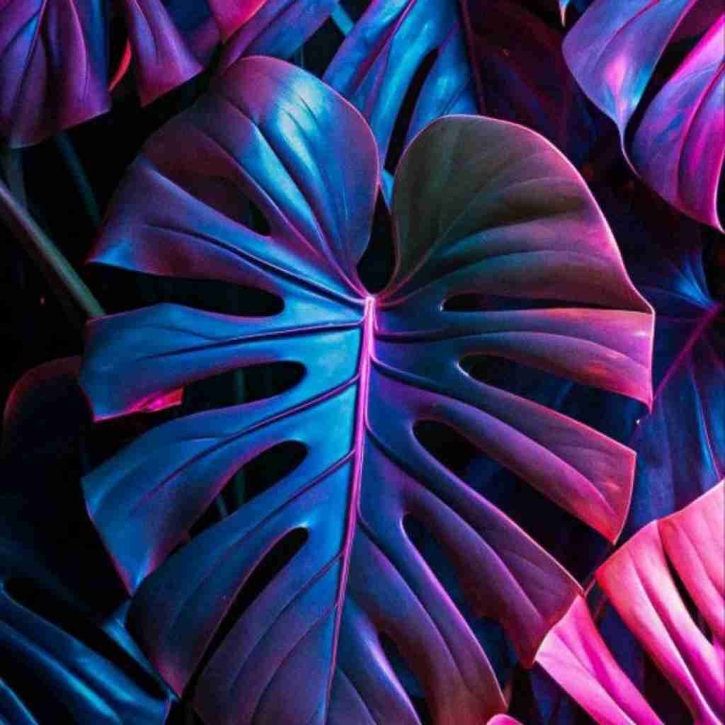 فاطمه رحمانی آسمون مه بزو هورا ره نویمه