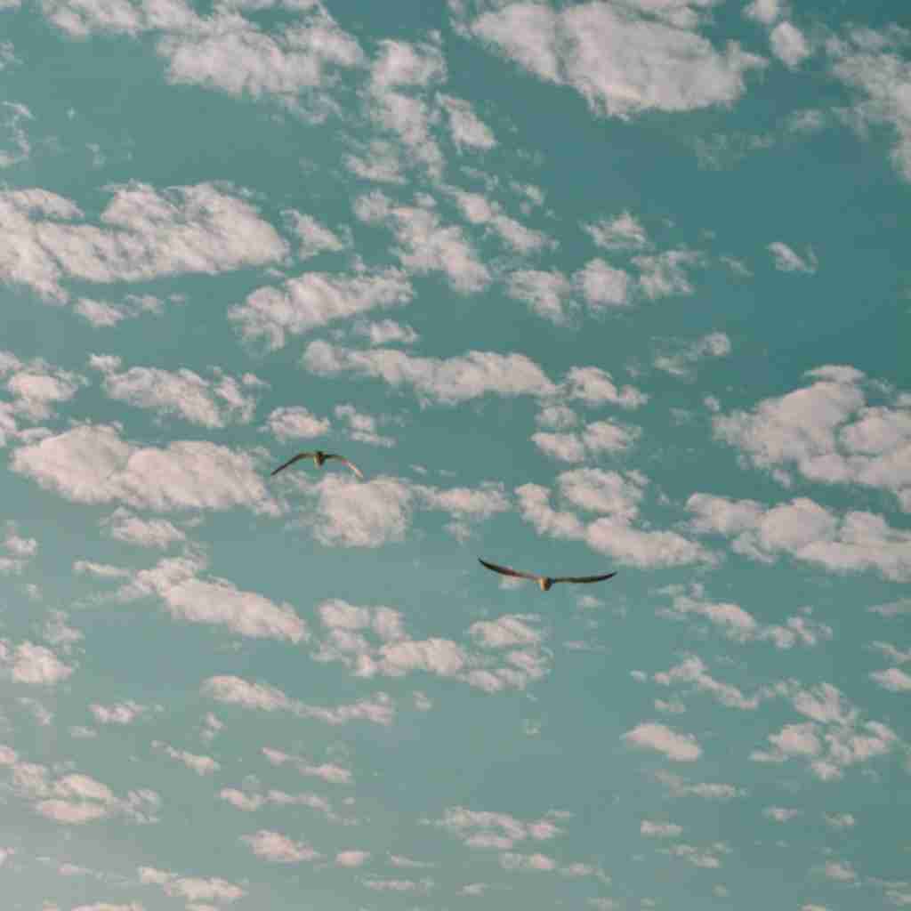 وقتی از همه خستم بیا بشین بغل دستم