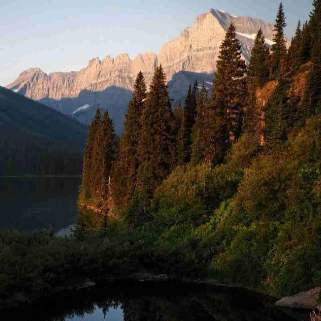 علیکی جمال و قلبک صافی و ابن حلال