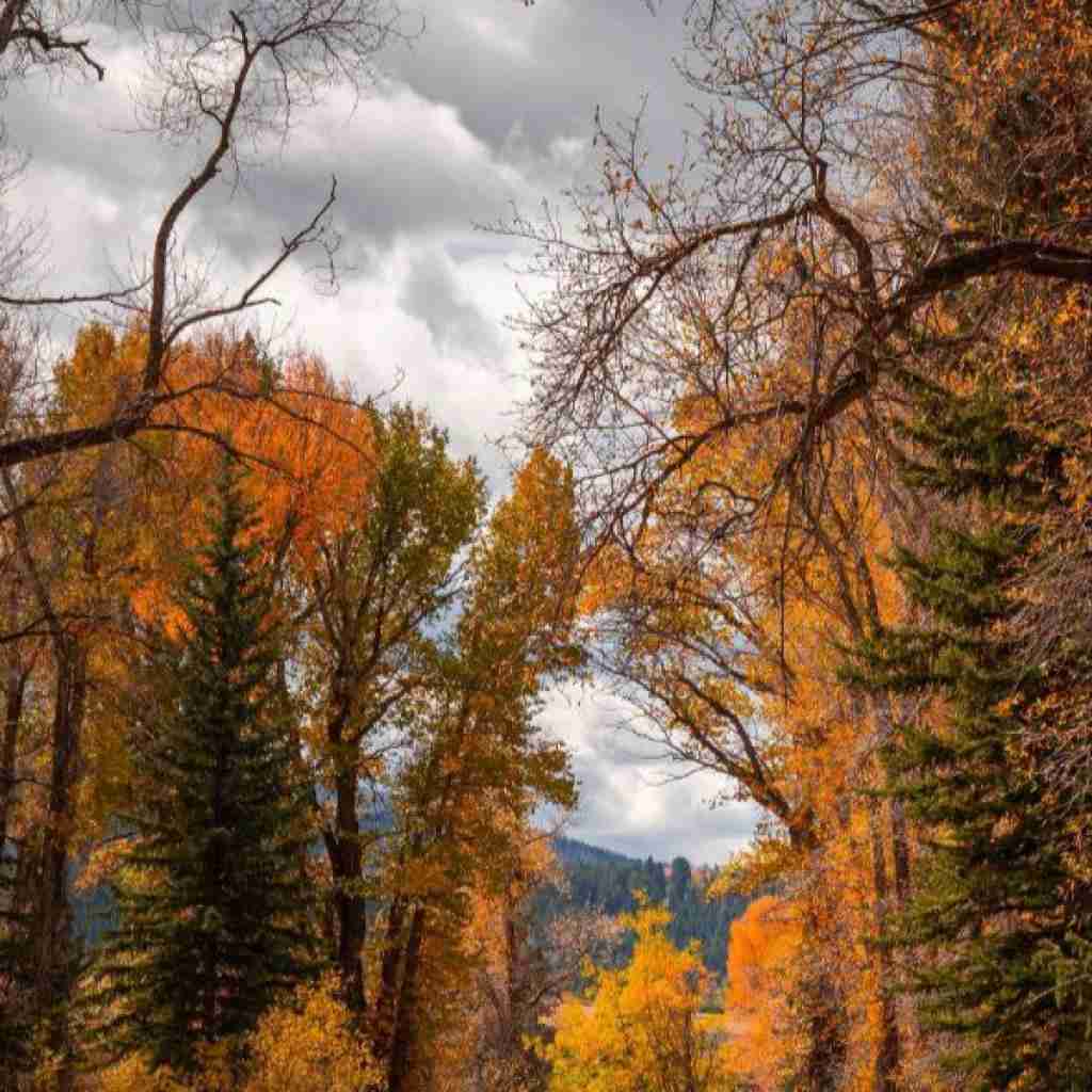 گفتم بیا بسازیم از نو پل های شکسته رو با صدای پسر اینستایی