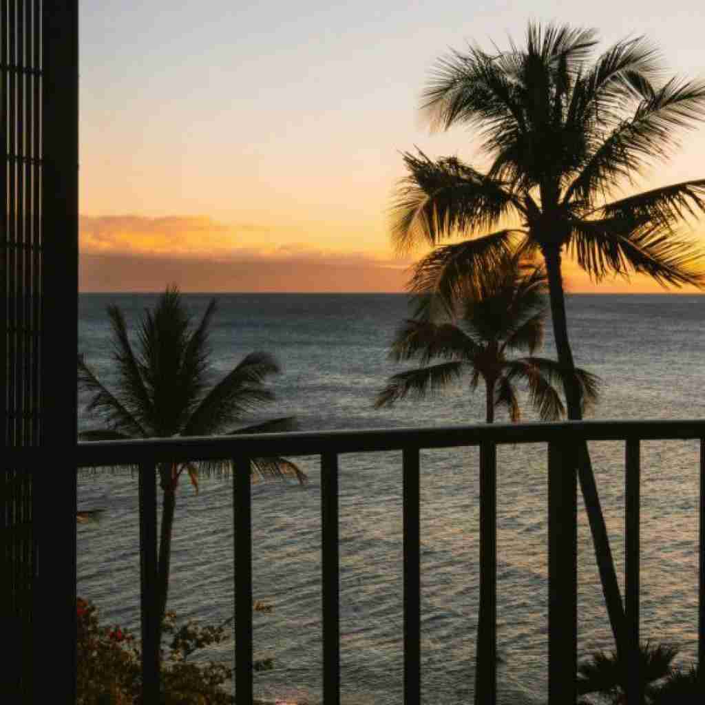 ماه نگار جانباز