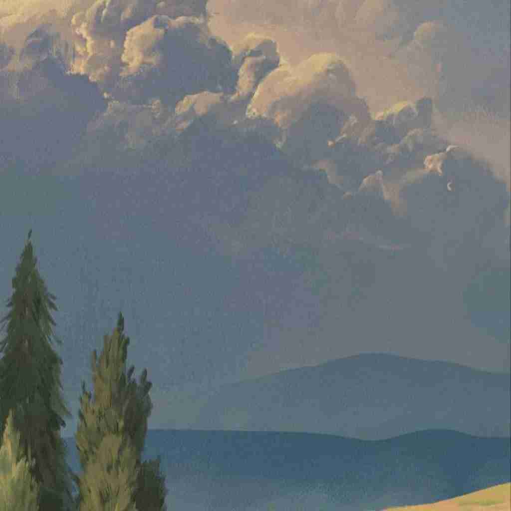 امیری فیک کنسله اصکی از رو درک کنسله