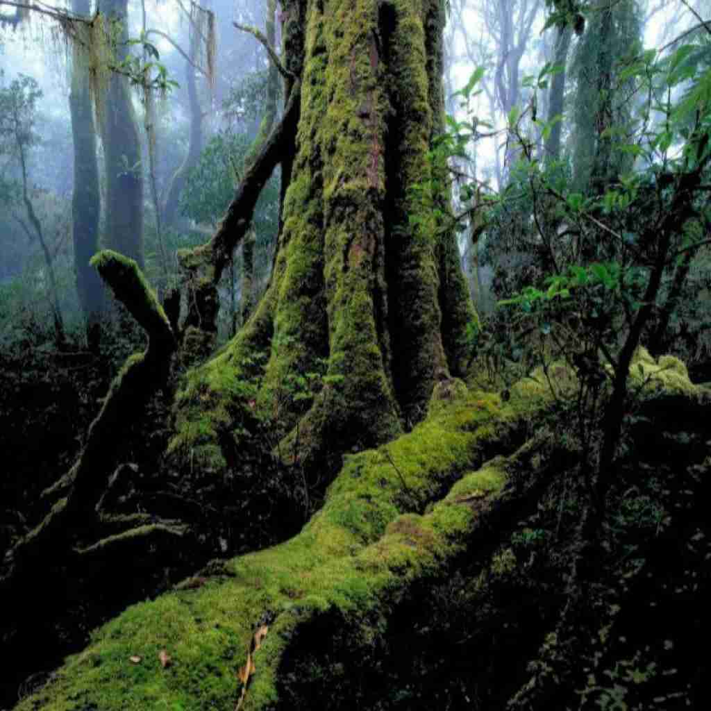 چیزی از درداش کم نمیشه حتی اگه بخوابه (میکس اینستایی)