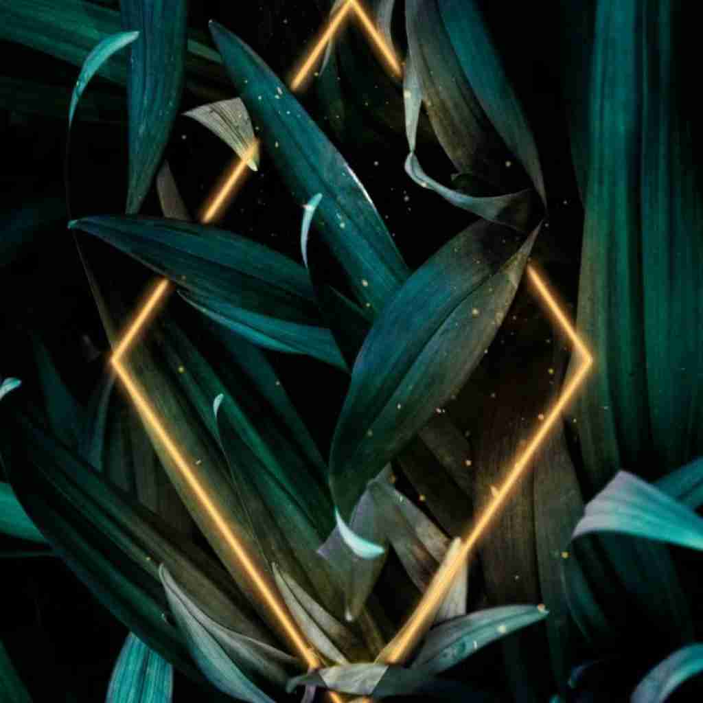 ساعت حوالی شب شدی روانی من ببین دلم