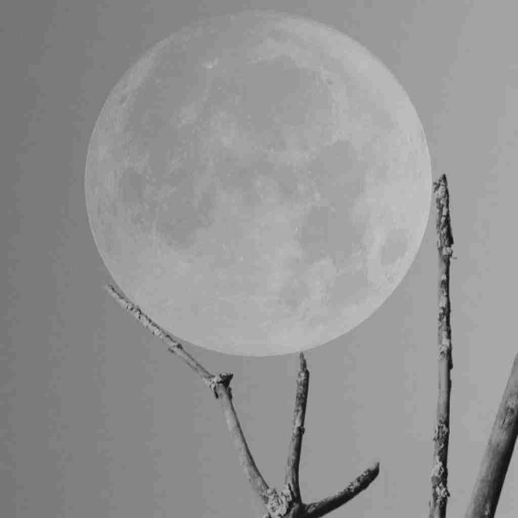 دارم میدم حال بدمو جلوه عادی این شبو کردی