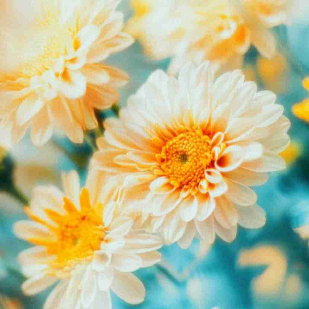  یکی بهش زنگ بزنه بگه هنوز تو فکرشم با صدای دختر اینستایی