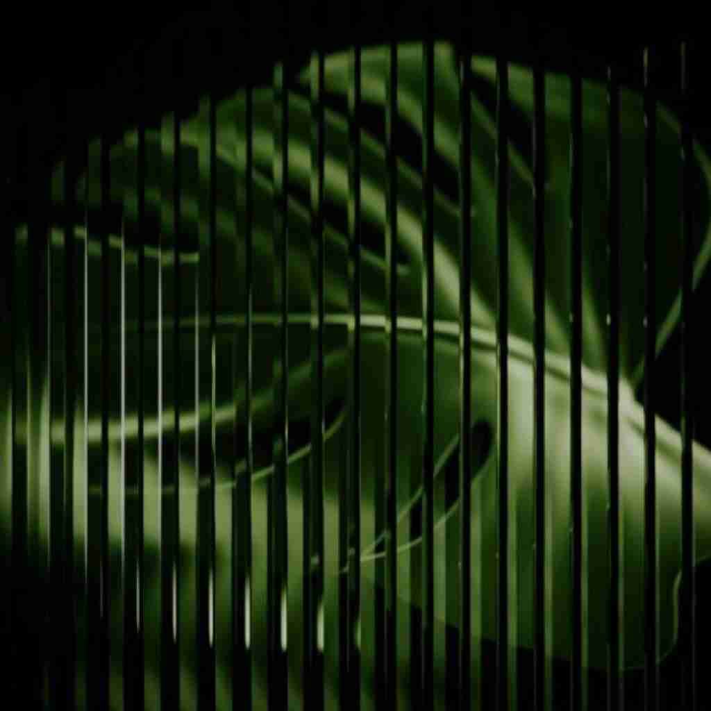 حالم بد میشه میباره بارون نمیگیرم دیگه آروم