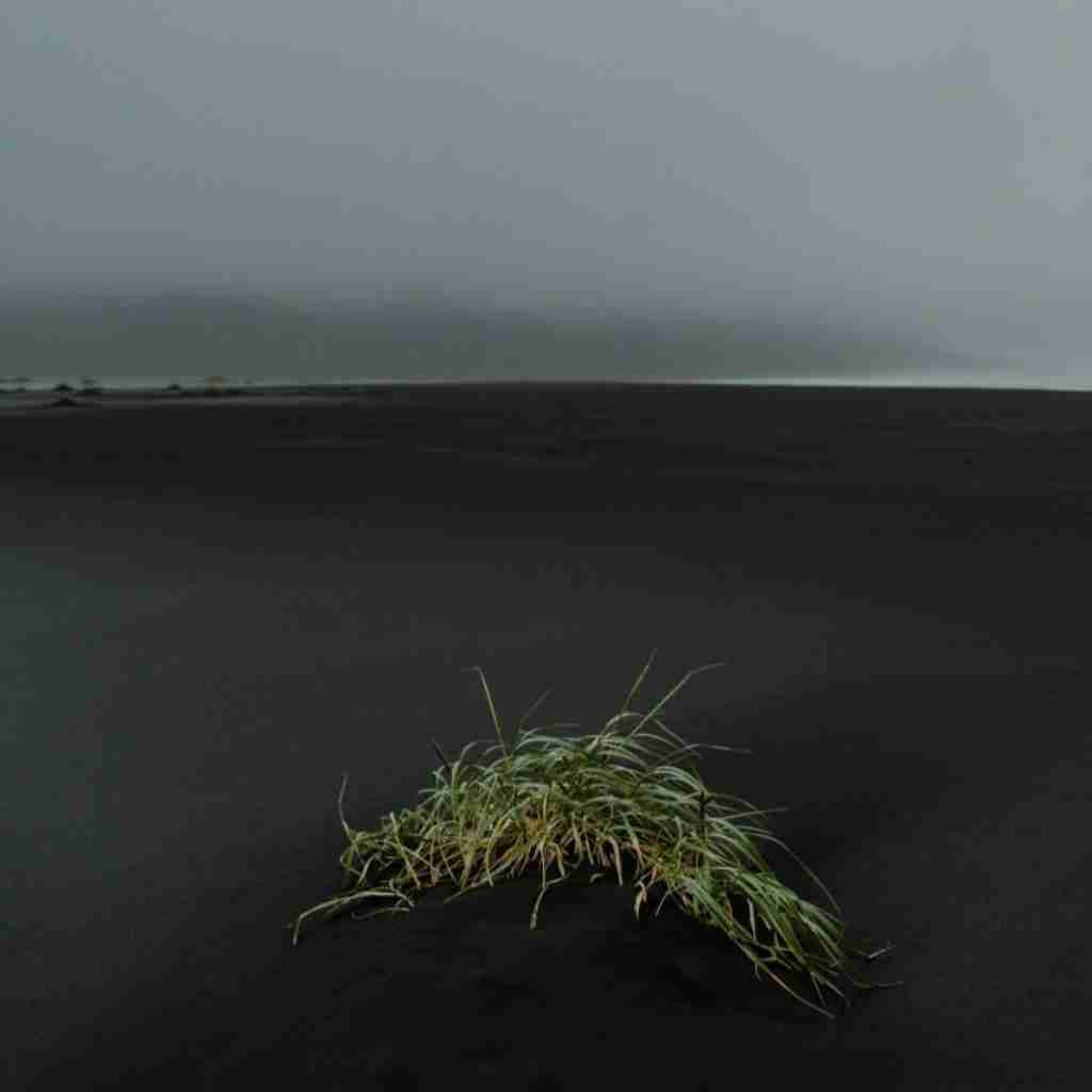 یادت میاد چیا میگفتم ما که این حرفارو نداریم