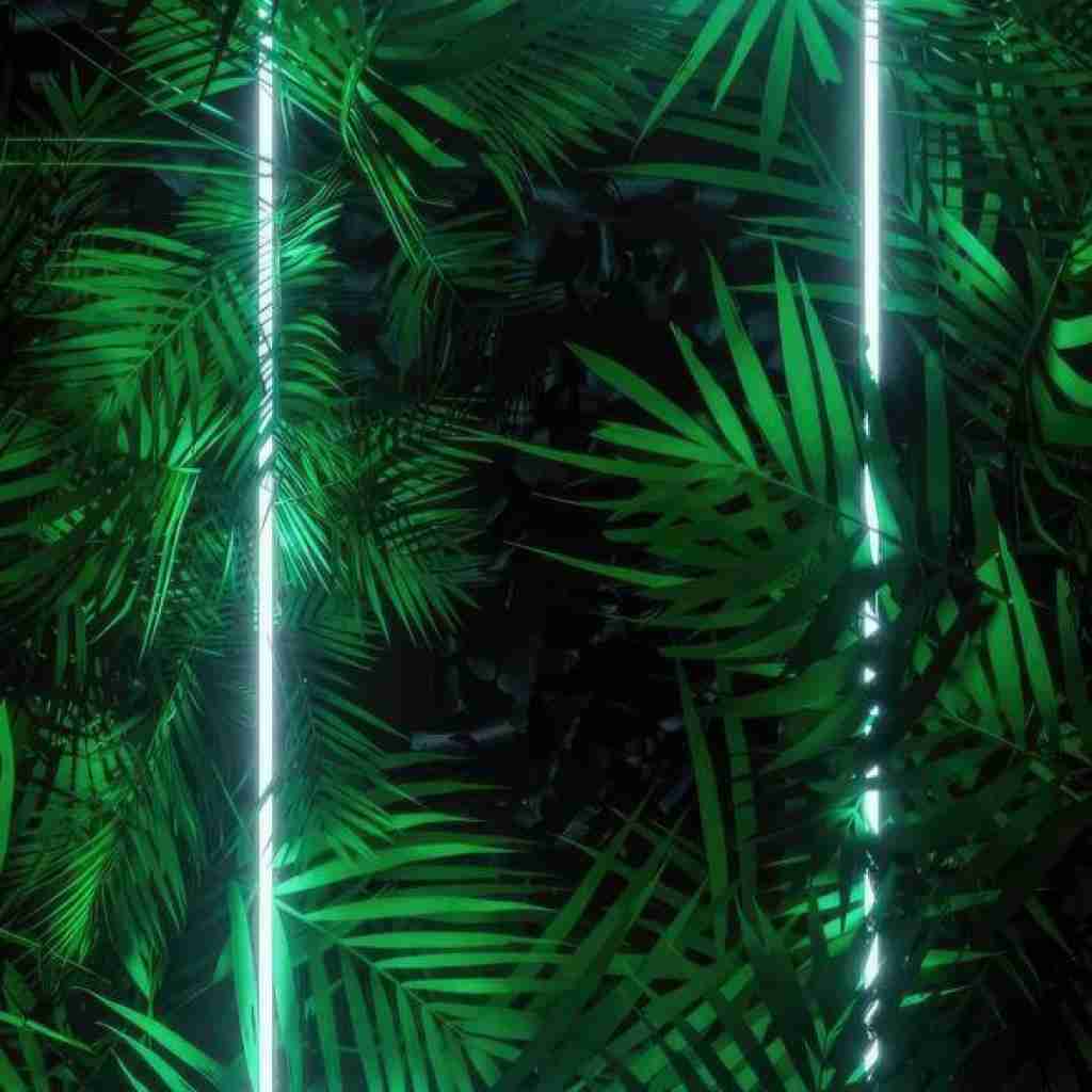  نمیبره خوابم صدات میزنم من شبا وقتی تو اتاقم