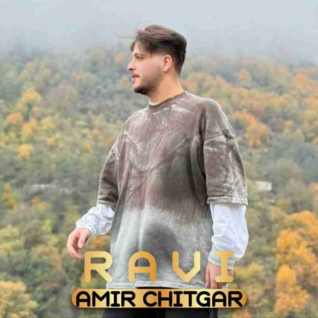 امیر چیتگر راوی