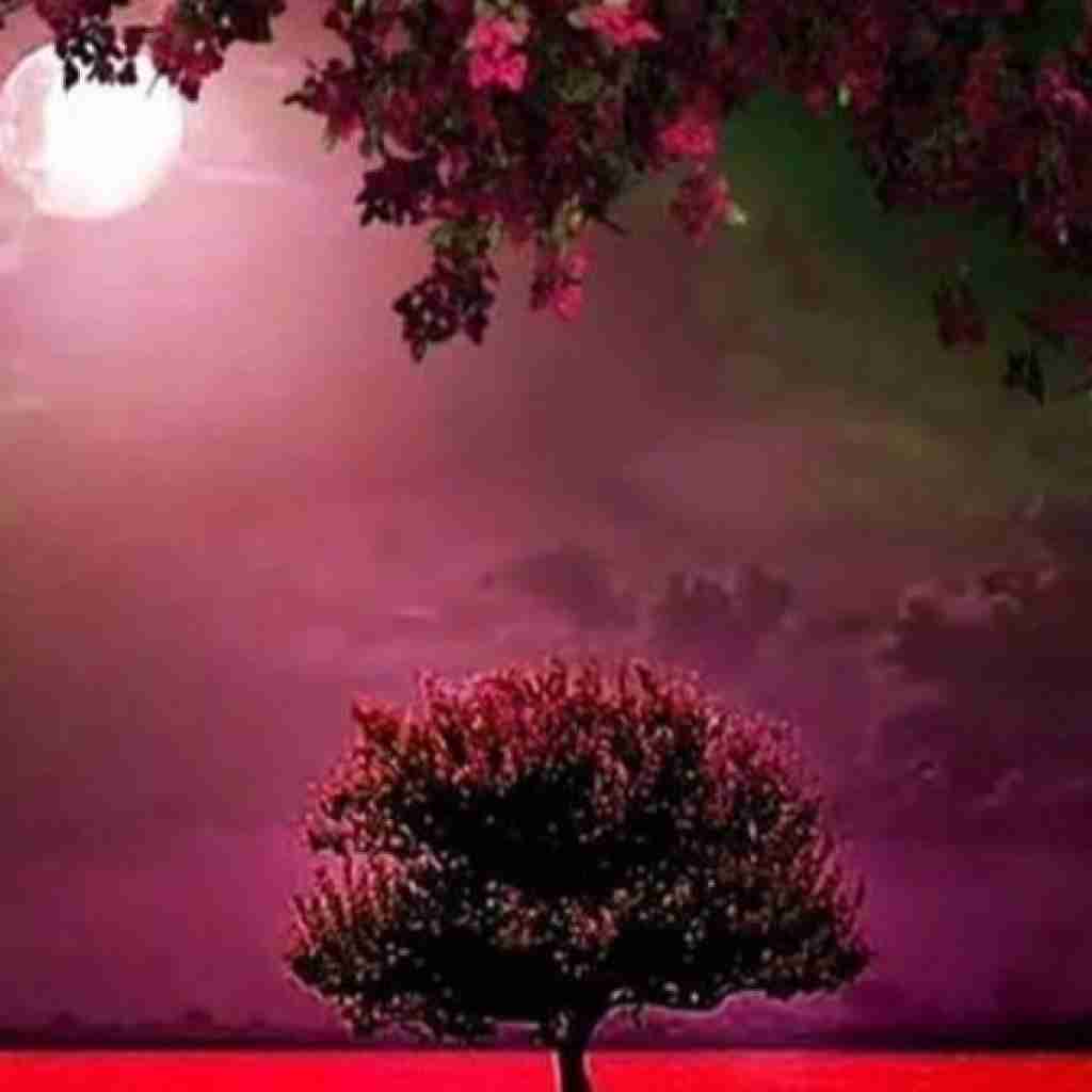 میگه خیلی هیتم ما که میدونیم