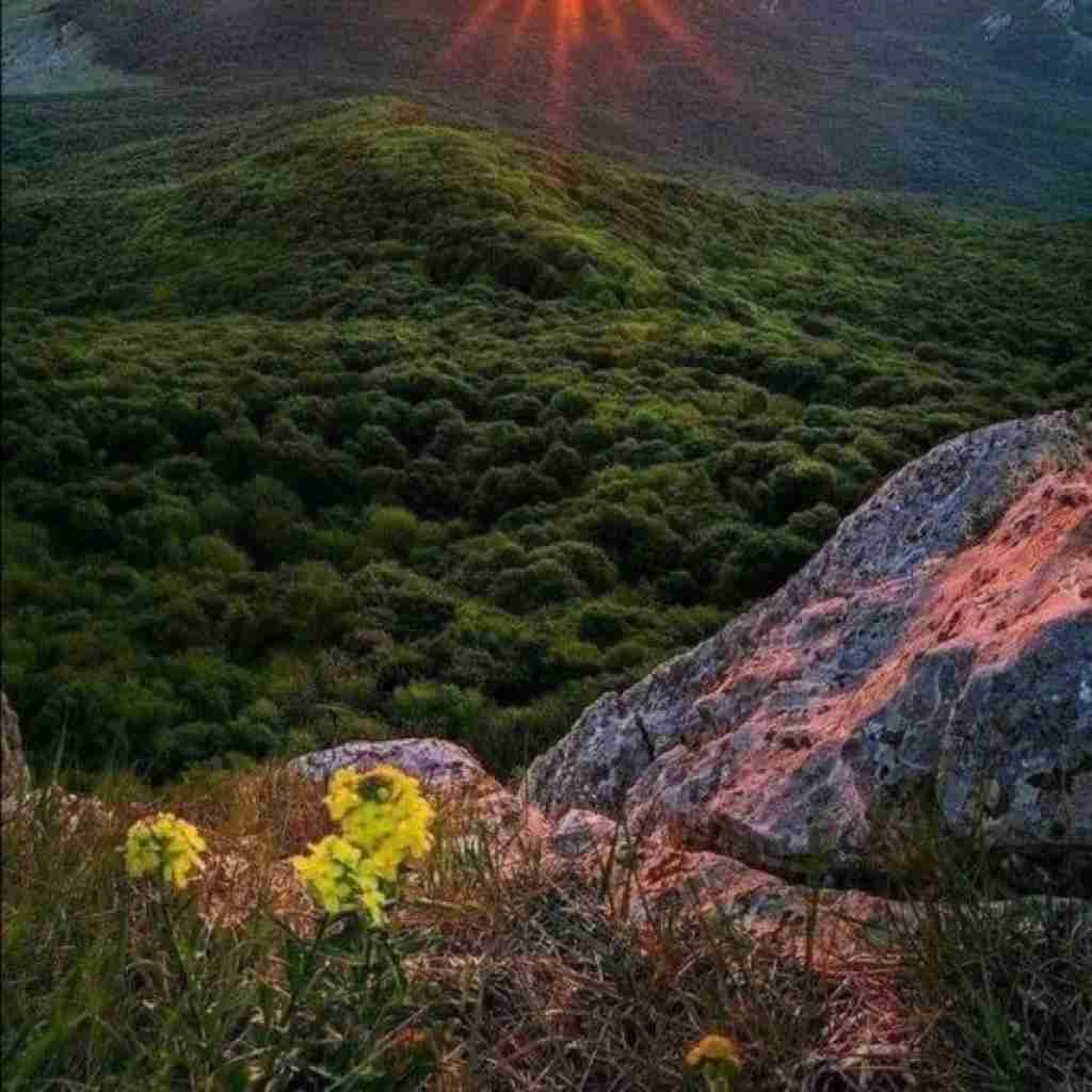 میزو میچینن به سلیقه ی ما انقدر غرق گناهم میخوام جلیقه نجات