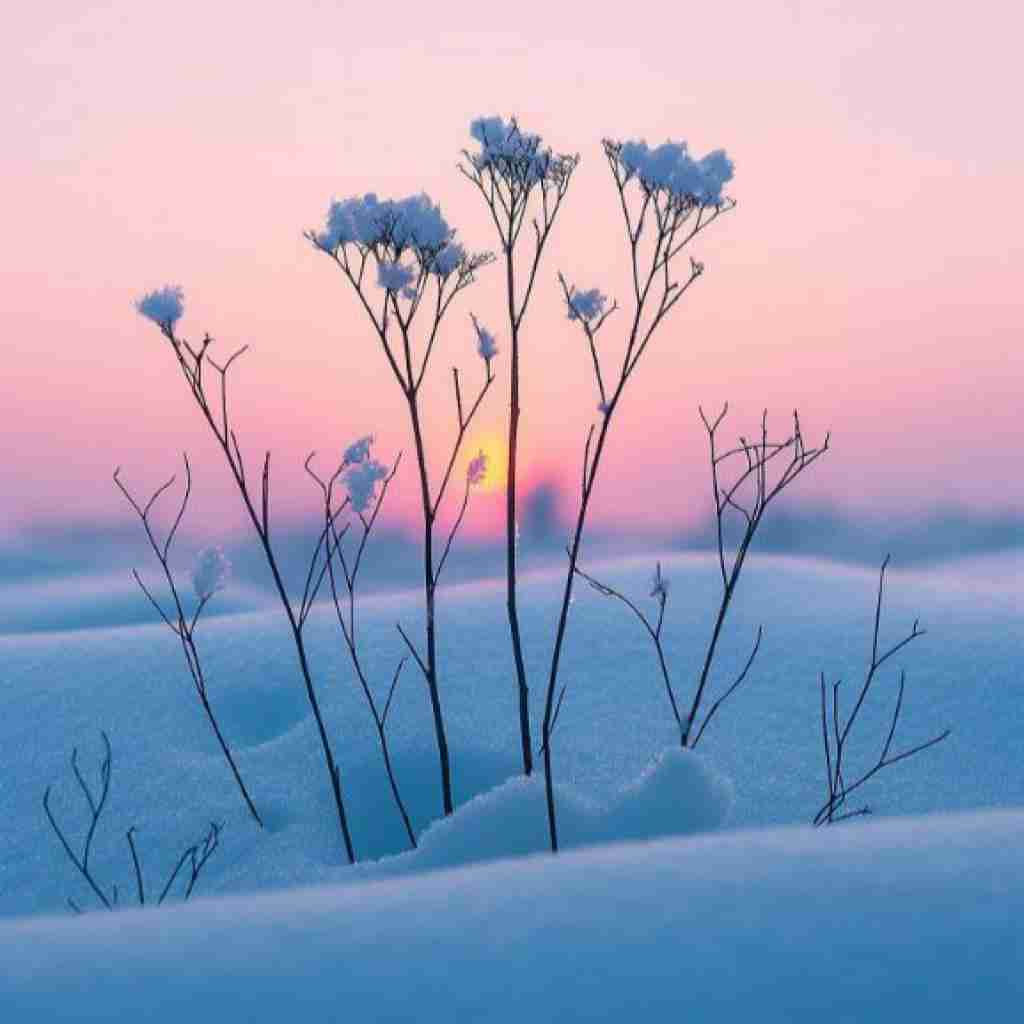  کجایی دست هاتو بگیرم بگم حرفامو به کی من