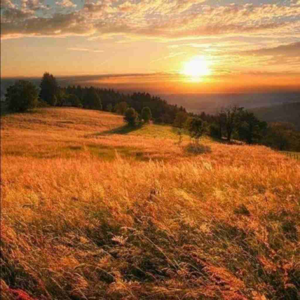 تنها میمونیم تا فردا بودی حبس تو