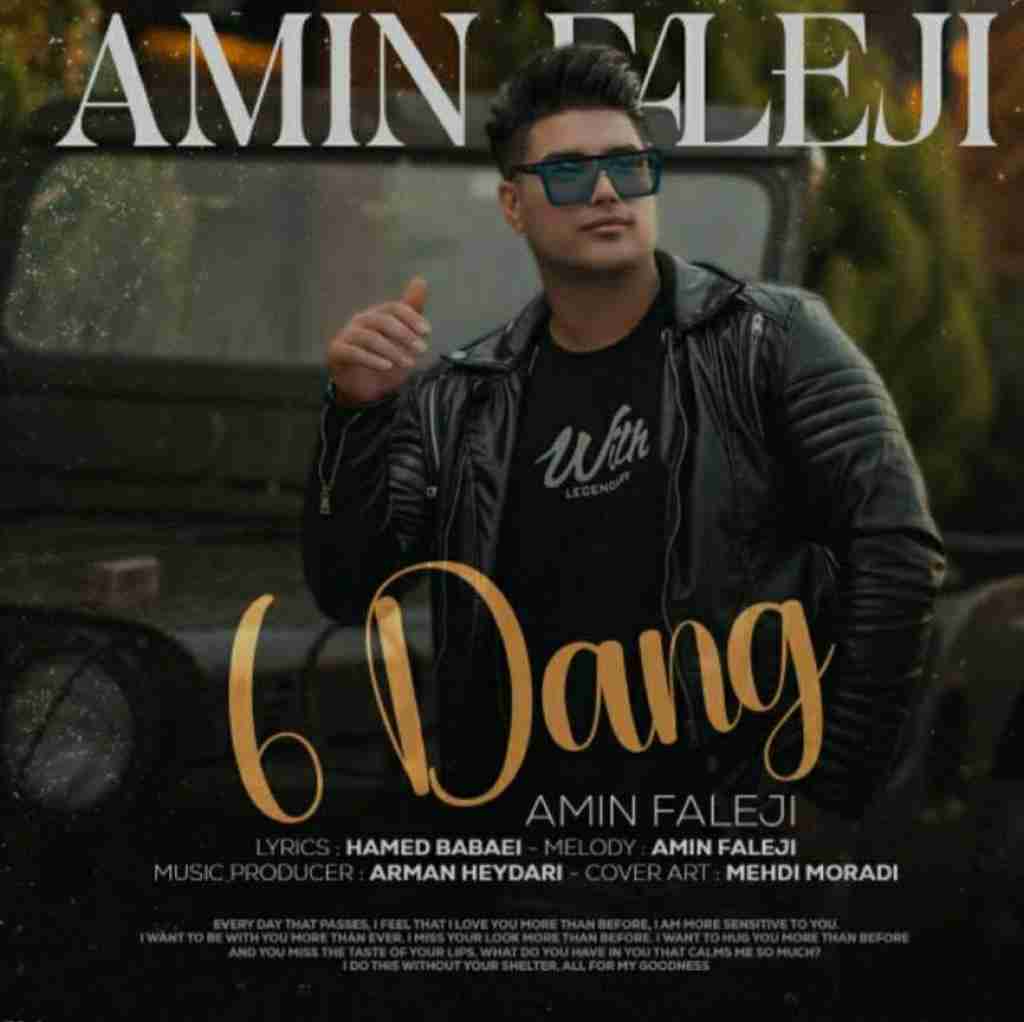 امین فالجی شش دانگ
