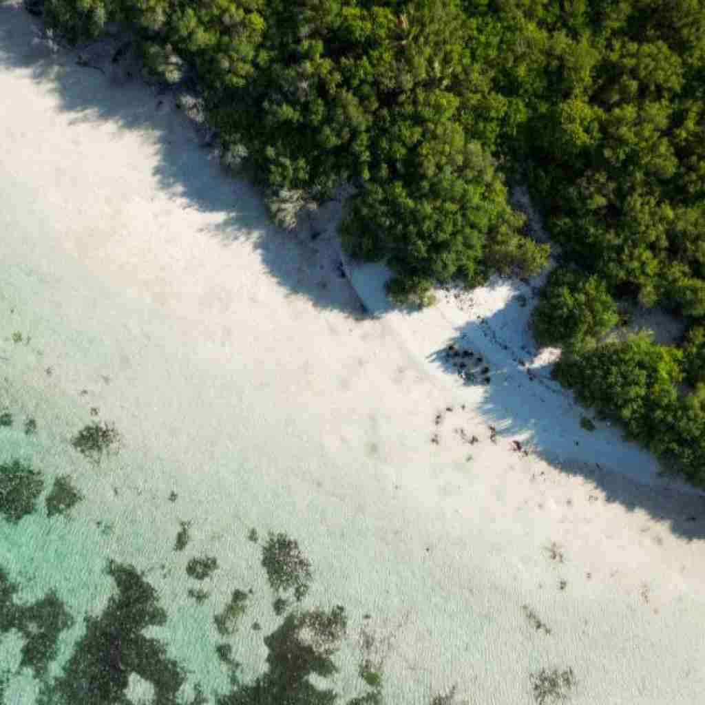 شب به گلستان تنها منتظرت بودم (میکس اینستایی)