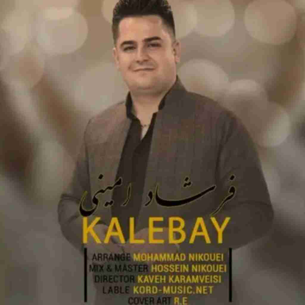 فرشاد امینی کالهبهی