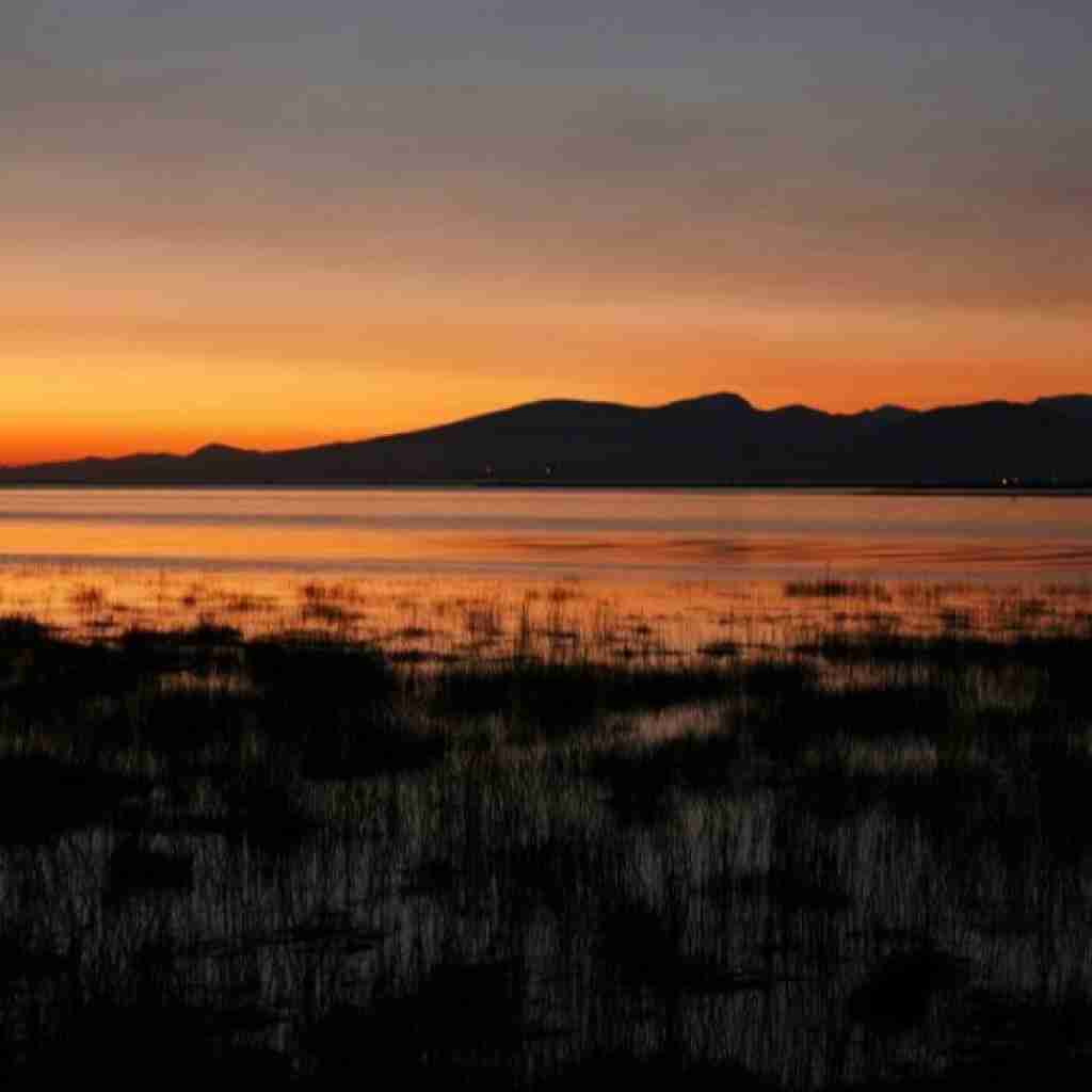 چیه مستی ردیفی حالت ردیفه بیا چشام شده خیره به در