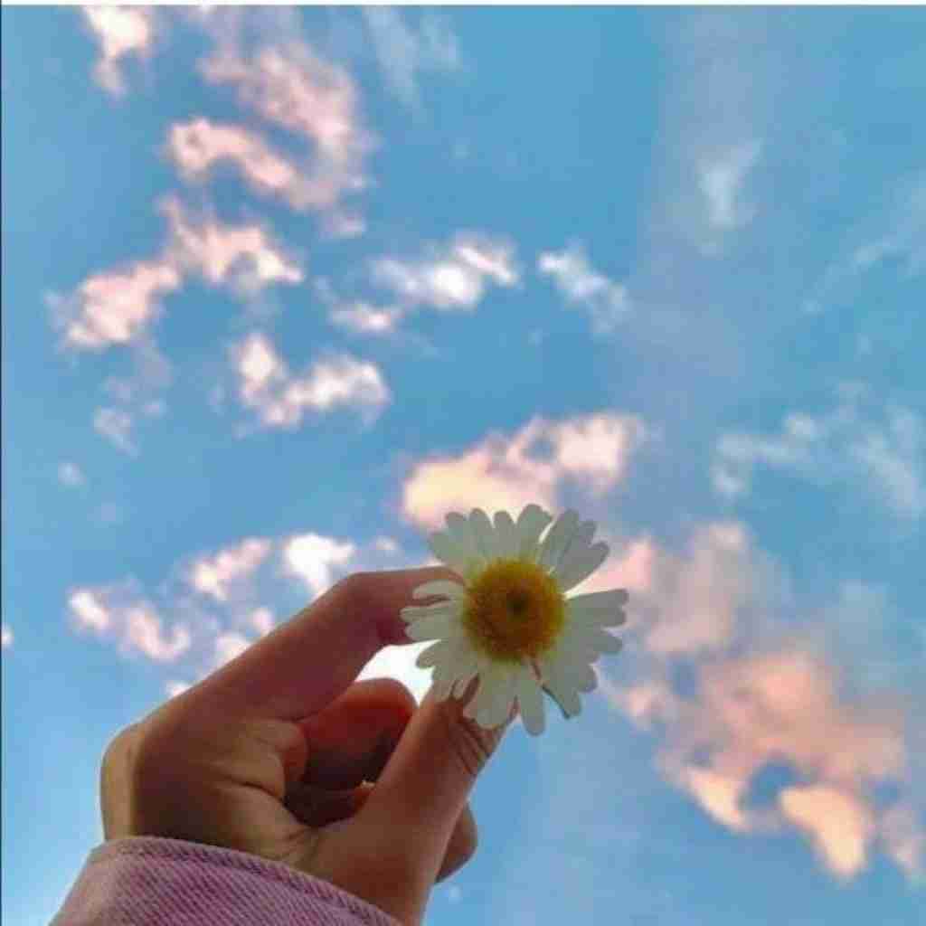 قربونش بشم که نمیزنه بهم دست – معروف اینستا