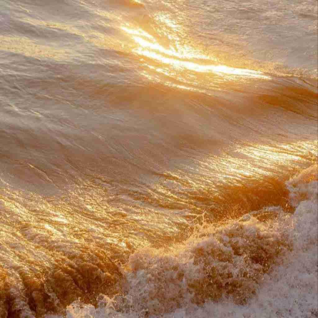 فاطمه مهلبان دلارا