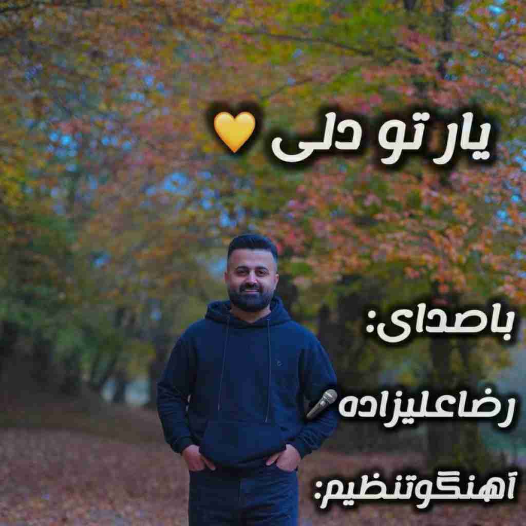 رضا علیزاده یار تو دلی