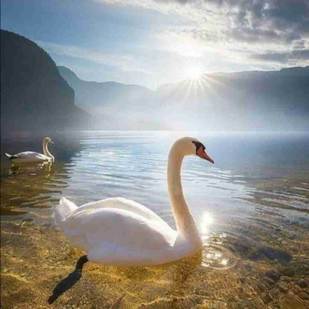 اصن من میرم تو ساختی ازم اهریمن