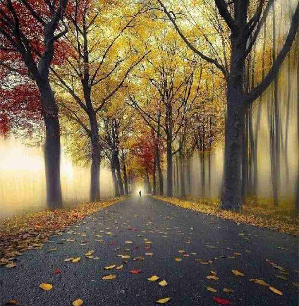 جوری خوردم مه به زمین مردن مه اجباریه