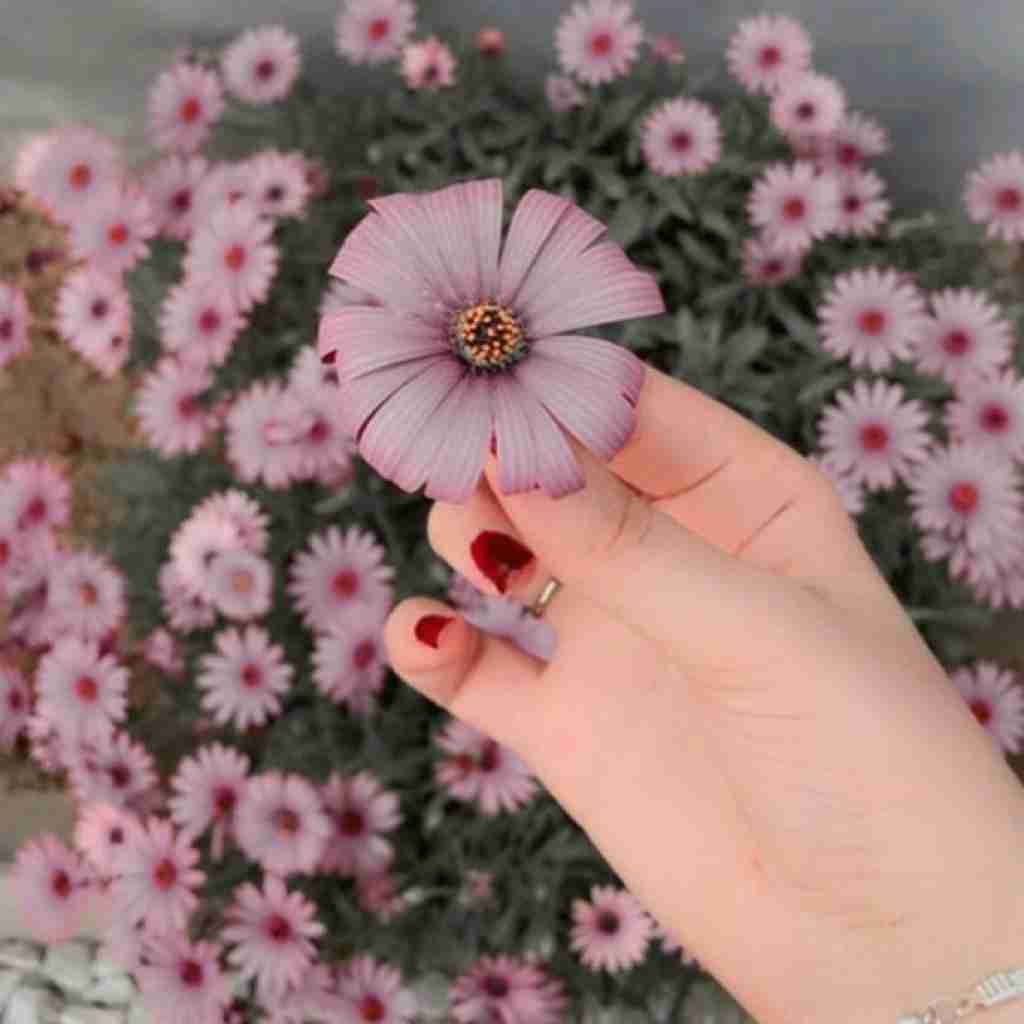  کی گفته دوری و دوستی خوبه با صدای زن