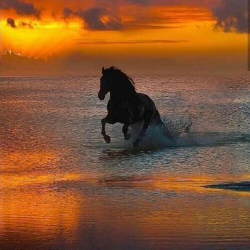 دانلود آهنگ اقیانوس غم از نوید احمدیان