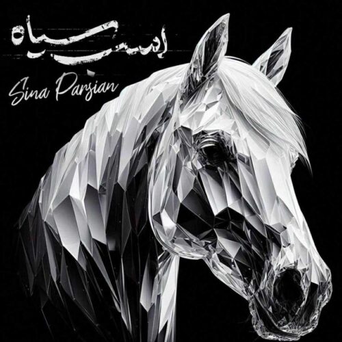 دانلود ریمیکس اسب سیاه از سینا پارسیان