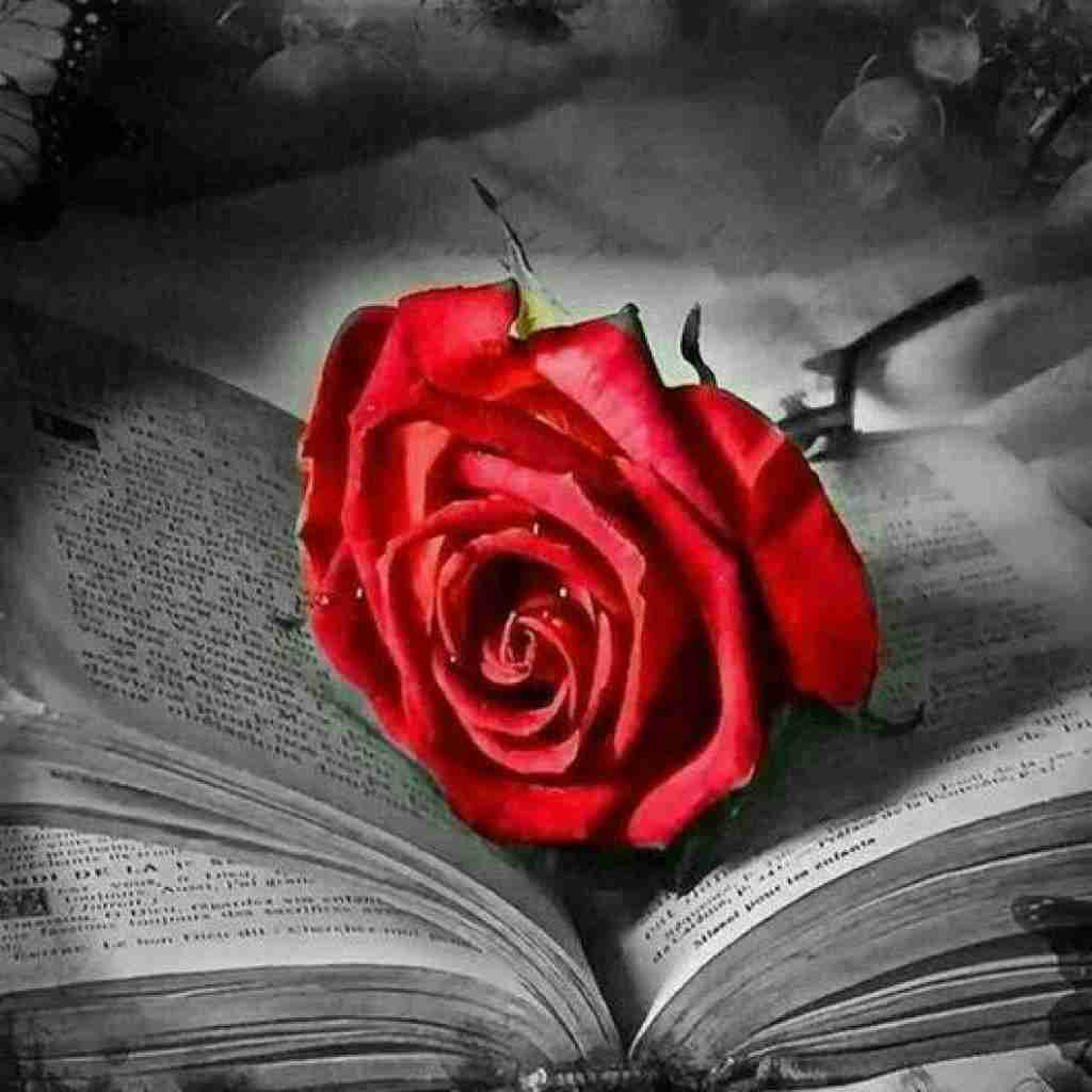 دشی تو شدی دود علف با تو پر از قهقه ام