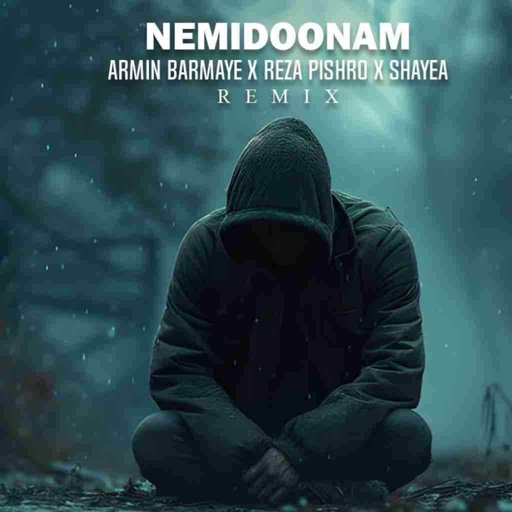 آرمین برمایه نمیدونم