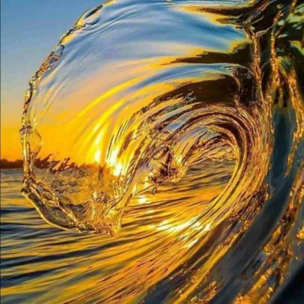  پری پری پری شیشیبی لابی