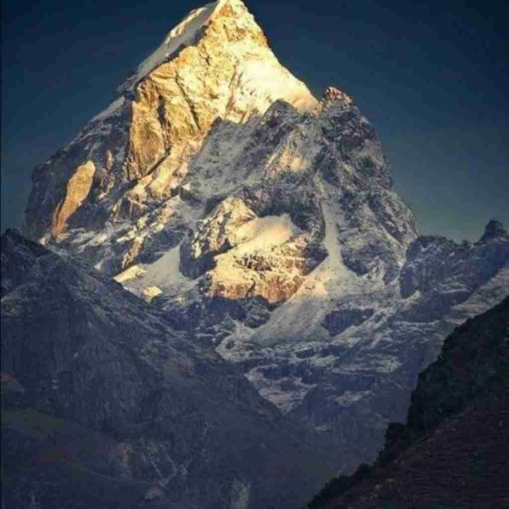  دوست دارم استیک دوست دارم برگر