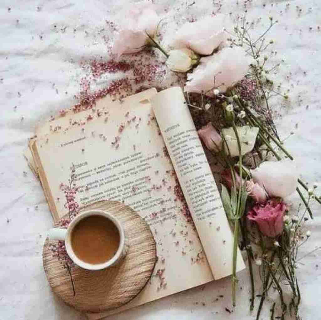  بری جاتو میگیره الکل