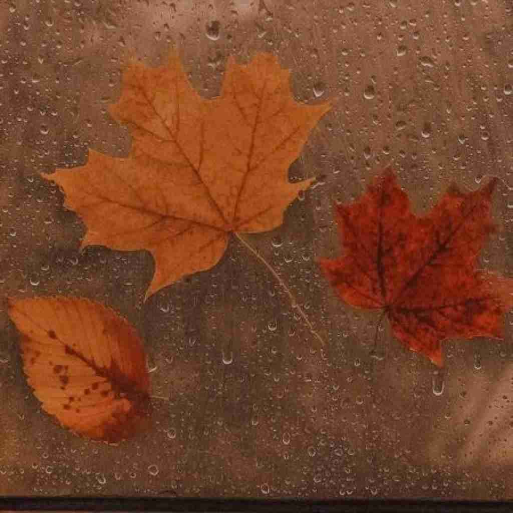 واست بی تابم و بی خوابم و میدونی دلتنگم