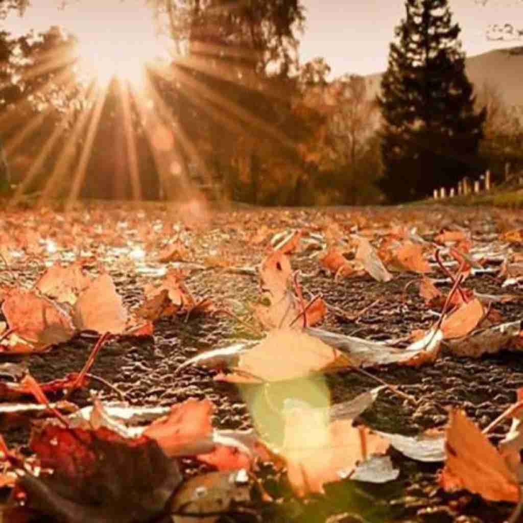 هیچکسی توجه نمیکرد بهم برا کسی مهم نبود