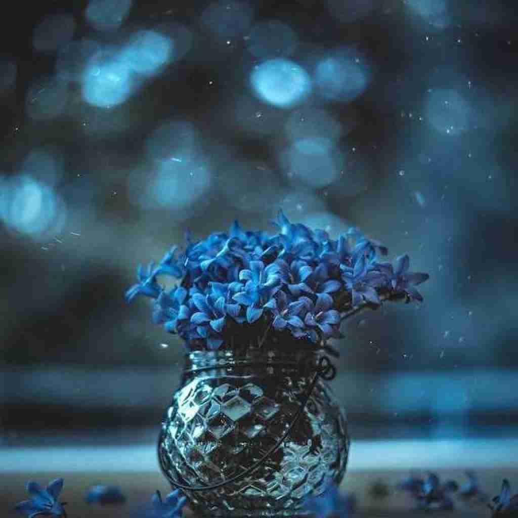 همه کس من تو نفس منی دنیای من