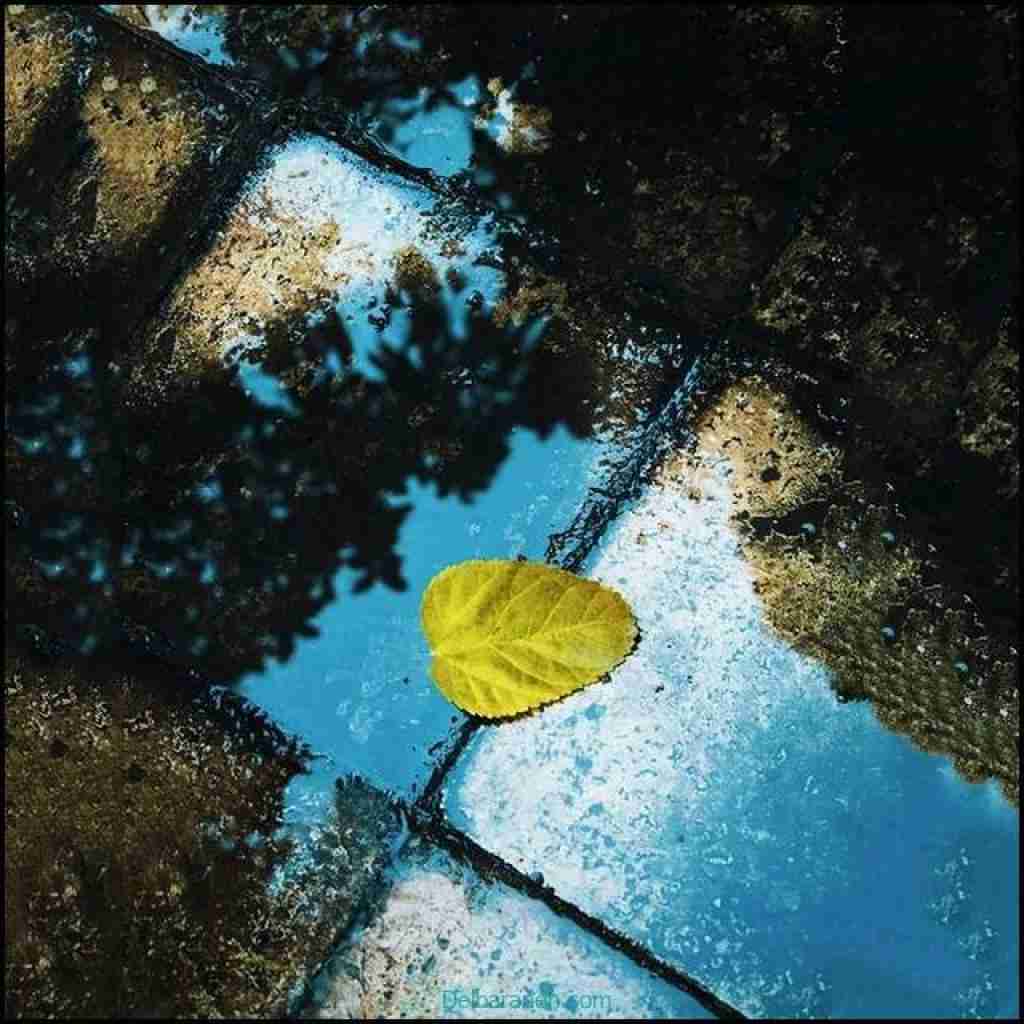 میگذره درست میشه ولی نترس دیگه