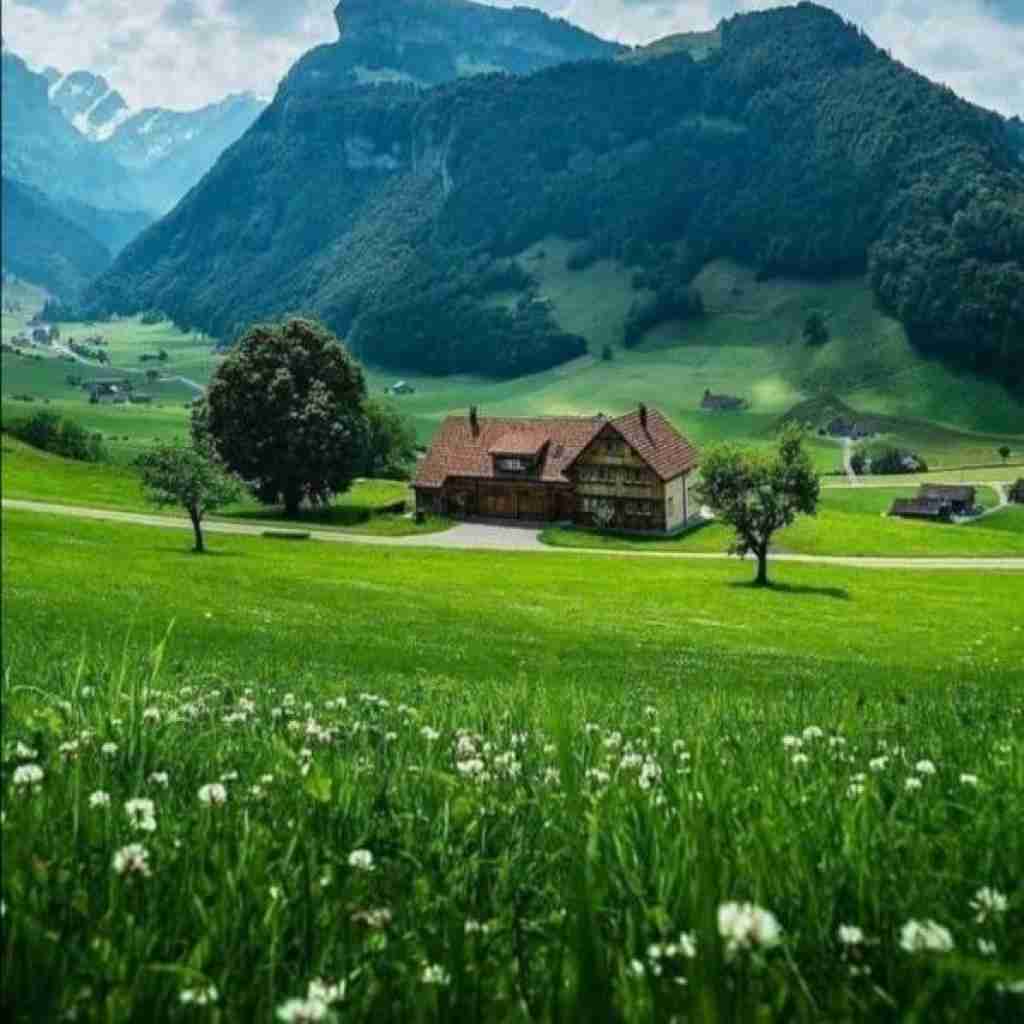 مگه چیکار کردم بات ببین چیکار کردی بام