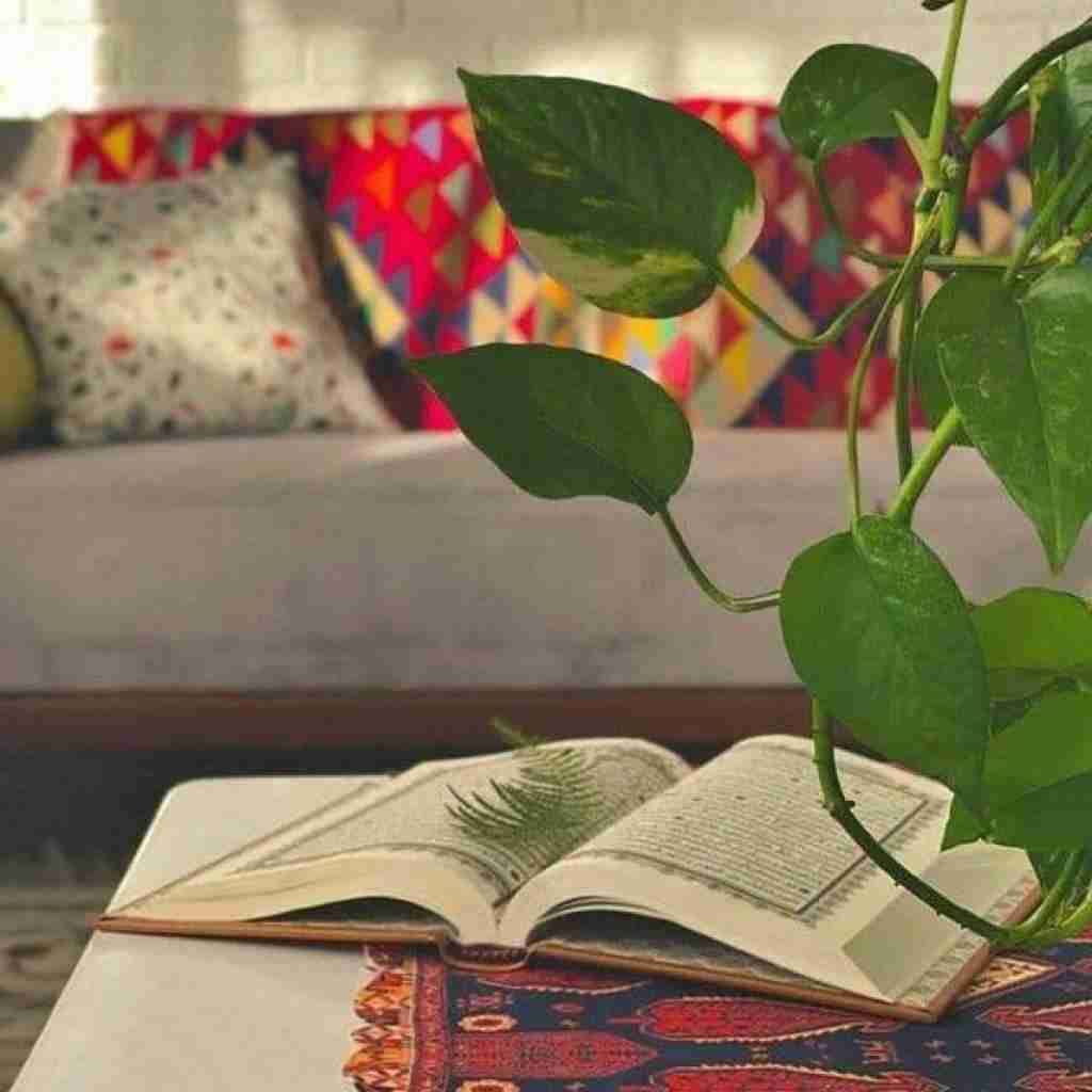 من همینم منبعد سگ اخلاقم