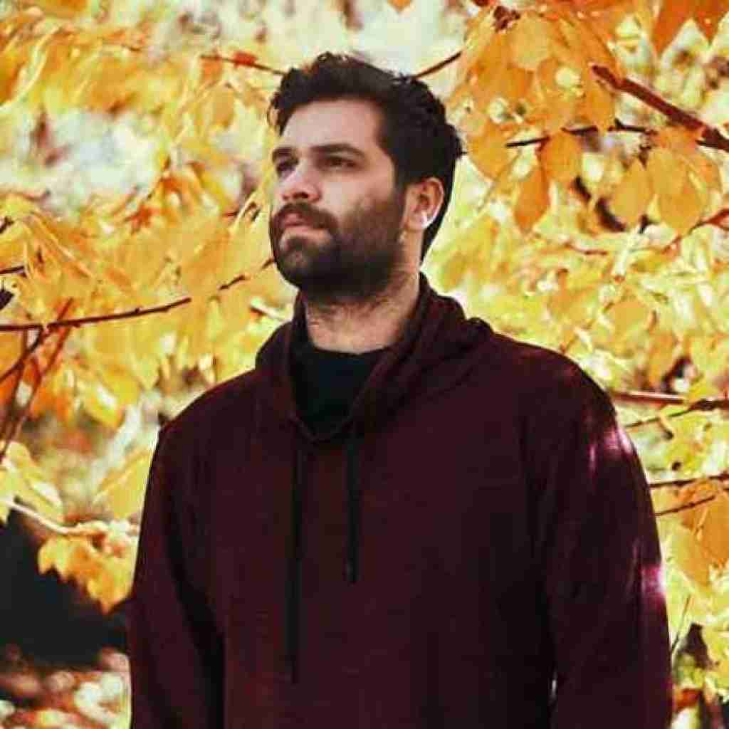 دایان ﻫﻤﻴﻨﻪ زﻧﺪﮔﻰ اﻧﮕﺎر