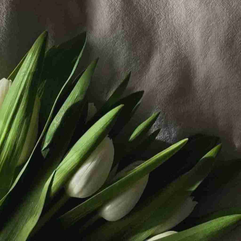  از وقتی رفتی بهترم عوضی دیگه بهت تکست نمیدم