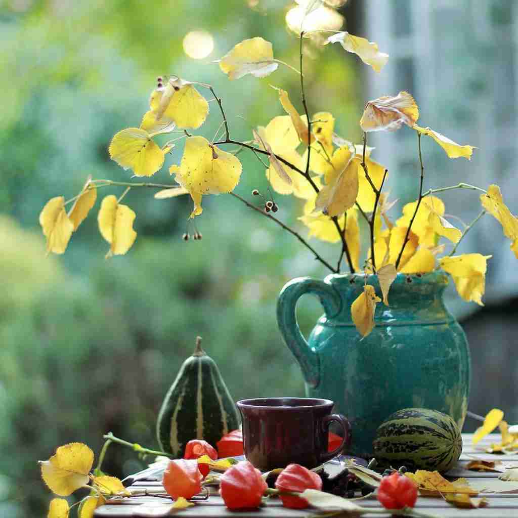  آهای دختر چوپون دل دیوونه رو – ورژن چالش اینستا